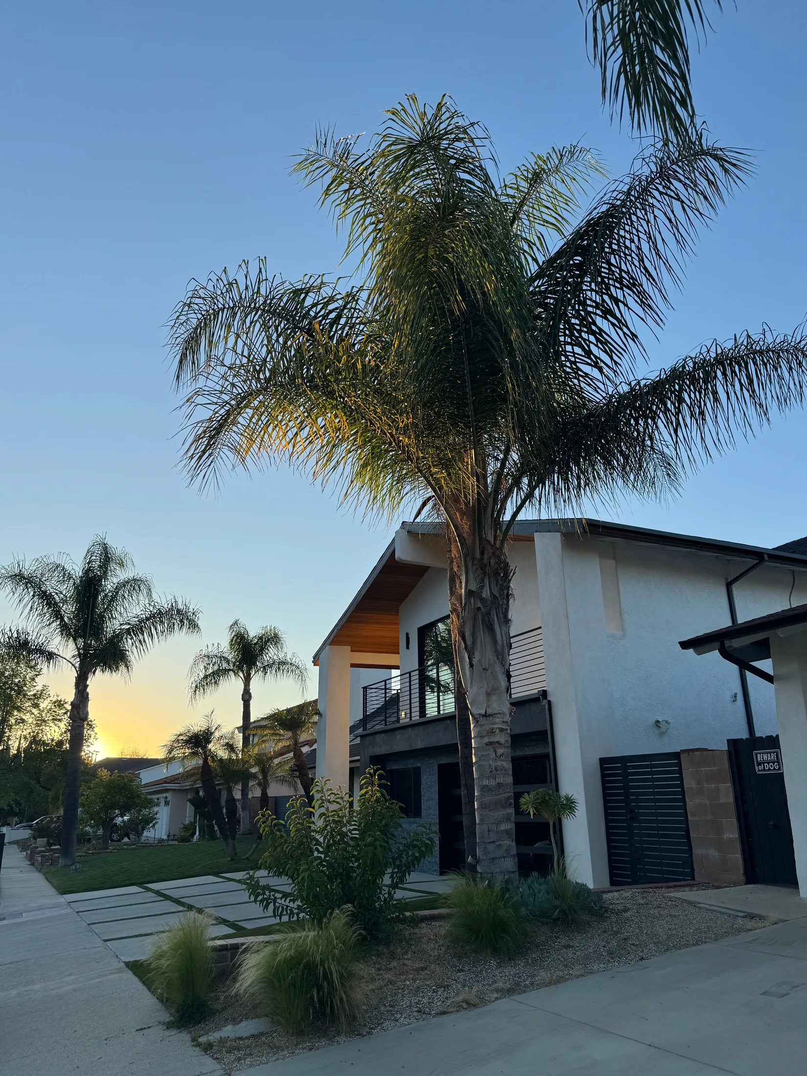 Southern California residential neighborhood